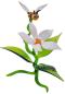 Preview: Blüte mit Biene, stehend / Blüte weiß